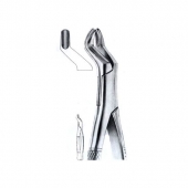 Extracting Forceps American Pattern